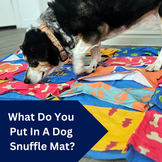 what do you put in a dog snuffle mat