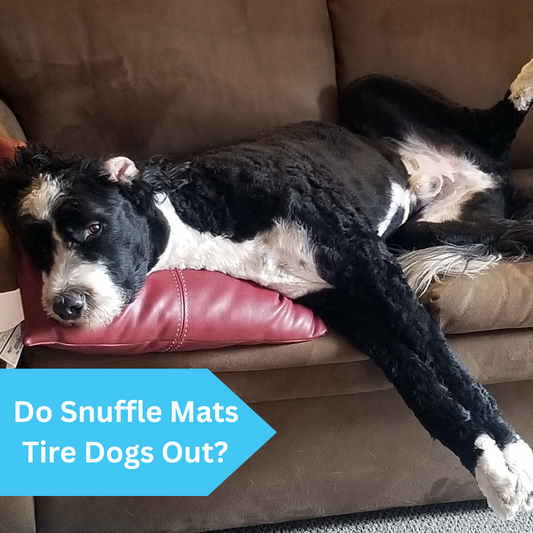 do snuffle mats tire dogs out