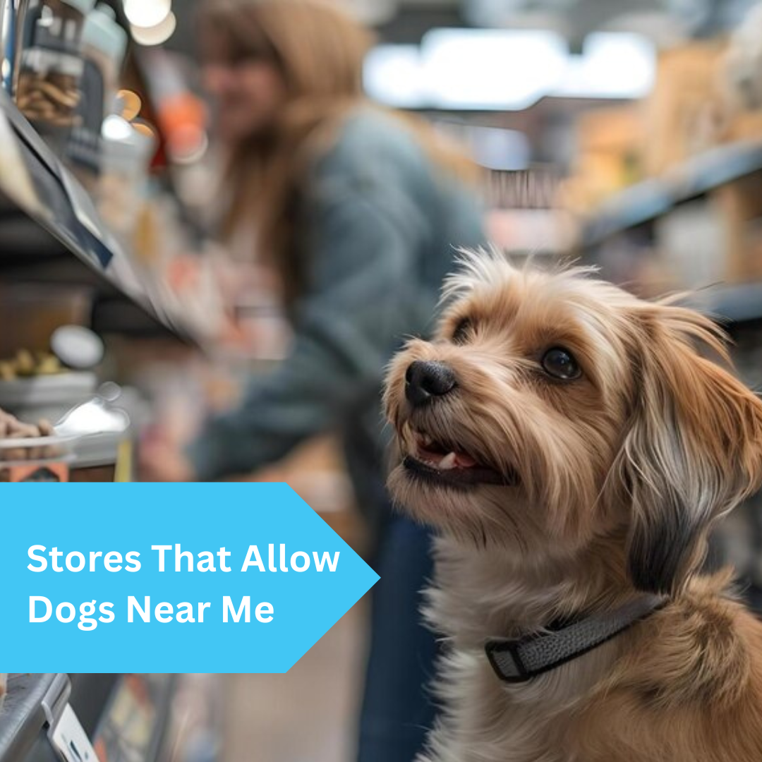 stores that allow dogs near me