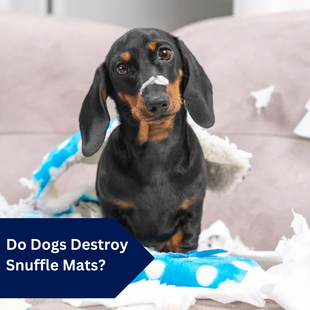 do dogs destroy snuffle mats