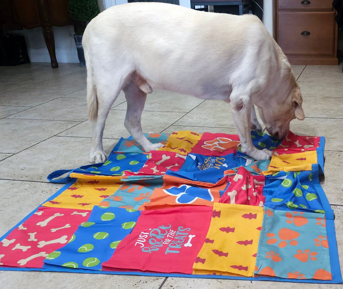 dog snuffle mat for dogs called the busy blanket