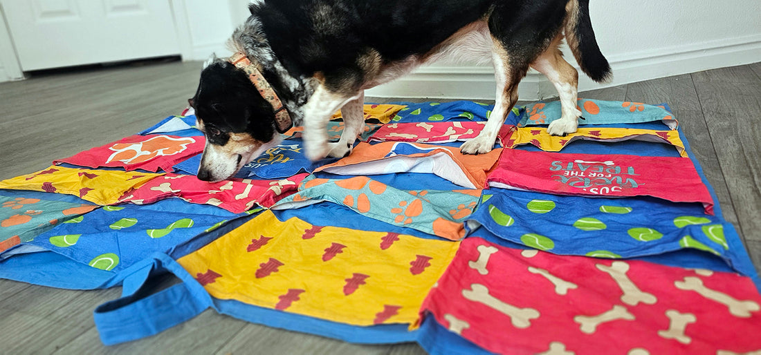 dog food puzzles like the busy blanket